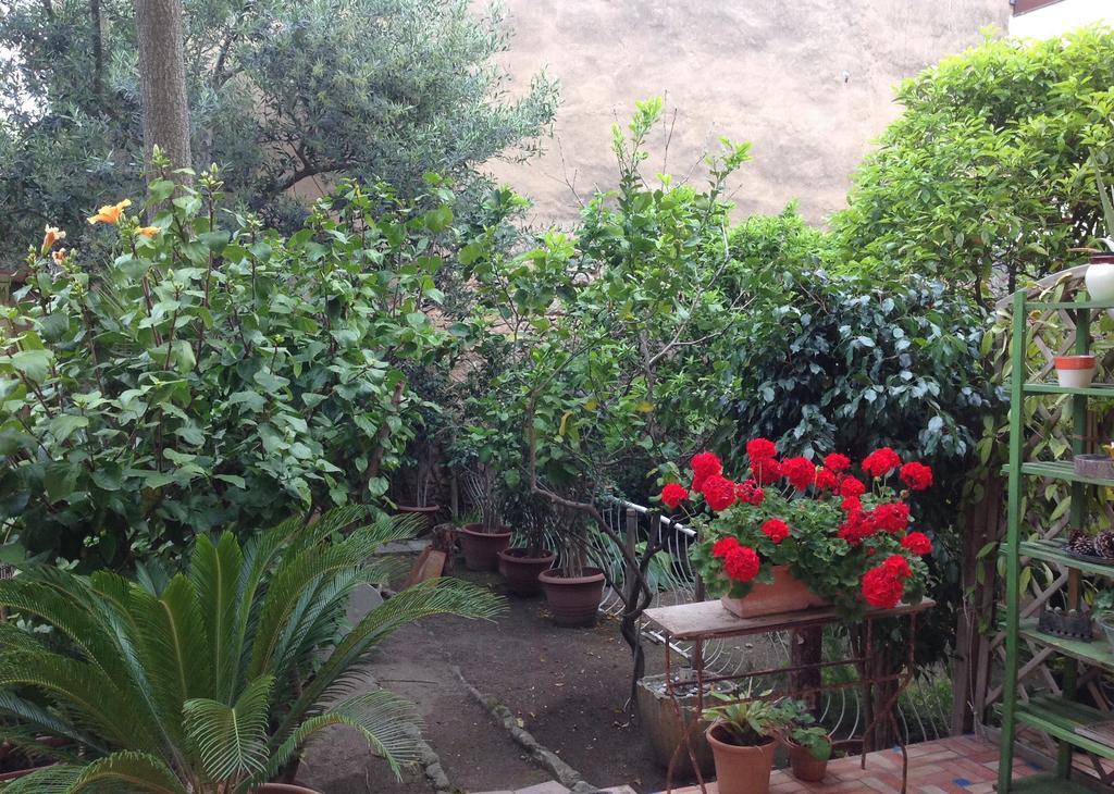 Apartamento Carrer Dels Horts Alguer Exterior foto